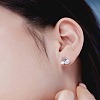 Star 925 Sterling Silver Micro Pave Cubic Zirconia with Shell Pearl Stud Earrings for Woman EJEW-Q384-01P-2