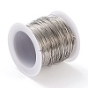316 Stainless Steel Wire TWIR-L004-01C-P-2