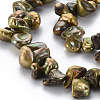 Natural Keshi Pearl Beads Strands PEAR-S021-013B-03-6
