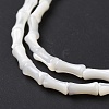 Natural Trochus Shell Beads Strands SSHEL-H070-04-5