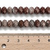 Natural Red Line Jasper Beads Strands G-Z111-A48-6