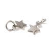 Non-Tarnish 201 Stainless Steel Charms STAS-E217-25A-P-2
