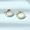 Brass Micro Pave Cubic Zirconia Hoop Earrings EJEW-K324-06G-1
