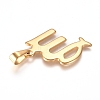 304 Stainless Steel Pendants STAS-L210-06E-G-01-2