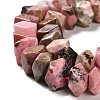 Natural Rhodonite Beads Strands G-N327-05-20-4