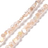 Electroplate Glass Beads Strands GLAA-E036-04C-1