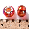 Shell Transparent Brass Cores Acrylic European Beads OACR-M024-07P-05-3