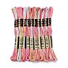 10 Skeins 6-Ply Polyester Embroidery Floss OCOR-K006-A75-1