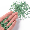 (Repacking Service Available) Glass Seed Beads SEED-C021-2mm-127-4