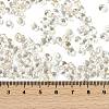 6/0 Spray Paint Fringe Glass Seed Beads X1-SEED-H003-11B-4