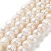 Natural Cultured Freshwater Pearl Beads Strands PEAR-E019-02-1
