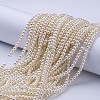 Glass Pearl Beads Strands HY-4D-B02-1-4