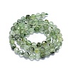 Natural Prehnite Beads Strands G-G927-39-2