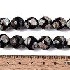 Tibetan Style Natural Agate dZi Beads Strands G-Q606-12MM-01-4