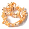 Dyed Natural Trochus Shell Beads Strands SSHEL-C013-09C-2