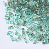 2-Hole Transparent Glass Seed Beads SEED-S023-30B-21-1