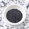 MIYUKI Delica Beads SEED-X0054-DB2206-2