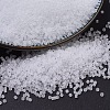 MIYUKI Delica Beads SEED-X0054-DB0741-1
