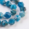 Natural Apatite Beads Strands G-F568-025-10mm-3