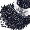 12/0 Glass Seed Beads X1-SEED-A009-2mm-604-1