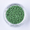 Glass Cylinder Beads SEED-Q036-01A-D09-2