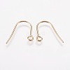 304 Stainless Steel Earring Hooks X-STAS-F142-01G-2