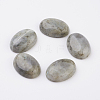 Natural Labradorite Flat Back Cabochons G-G741-13x18mm-18-1