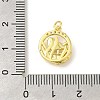 Rack Plating Brass Micro Pave Cubic Zirconia Pendants KK-S396-53G-3