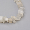 Natural White Moonstone Chip Beads Anklets AJEW-AN00229-02-2