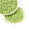6/0 Transparent Inside Colours Glass Seed Beads SEED-N008-08J-1
