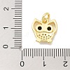 Rack Plating Brass Micro Pave Cubic Zirconia Connector Charms KK-K293-34G-3