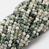 Natural Tree Agate Beads Strands G-N0192-01-2mm-1