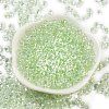 6/0 Inside Colours Fringe Glass Seed Beads X1-SEED-A034-03E-2