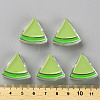 Transparent Enamel Acrylic Beads LS-TACR-S155-001D-4
