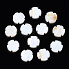 Natural Freshwater Shell Beads SHEL-T018-27-1