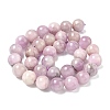 Natural Kunzite Beads Strands G-L478-11-12mm-01-4