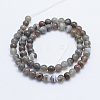 Round Natural Botswana Agate Bead Strands G-I166-02-6mm-4