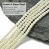 Eco-Friendly Dyed Glass Pearl Round Beads Strands Y-HY-A002-4mm-RB011-2