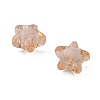 Transparent Acrylic Beads LS-TACR-S091-12mm-05-3