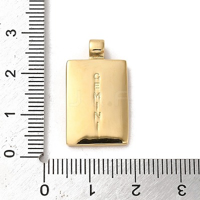 304 Stainless Steel Pendants STAS-L022-306G-03-1