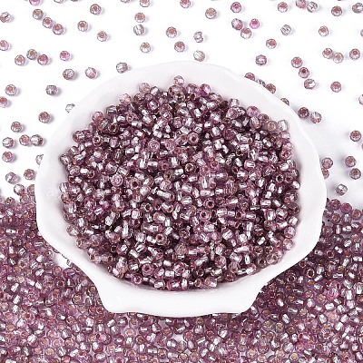 Silver Lined Glass Seed Beads SEED-T007-18A-10-1