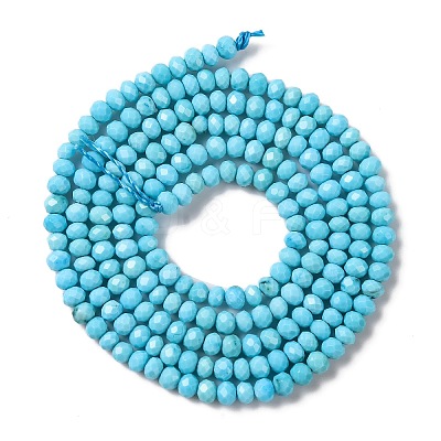 Natural Howlite Beads Strands G-H025-03A-03-1