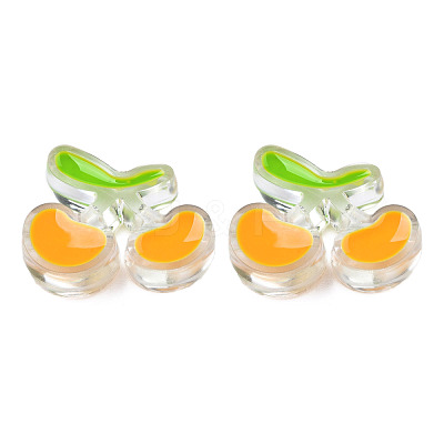 Transparent Acrylic Enamel Beads TACR-N012-006F-1