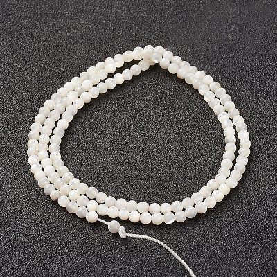 Natural White Shell Beads Strands X-G-G680-54-1
