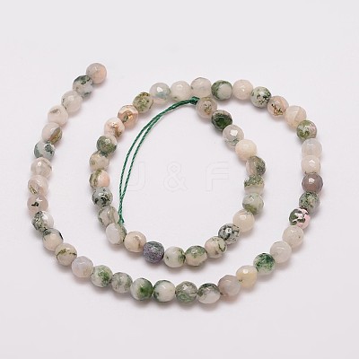 Natural Tree Agate Bead Strands G-G882-6mm-E02-1