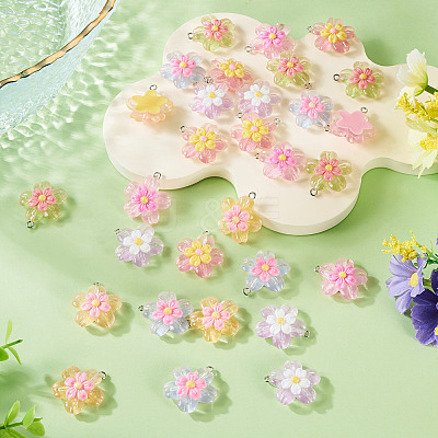 30Pcs 6 Colors Transparent Resin Pendants RESI-TA0004-74-1
