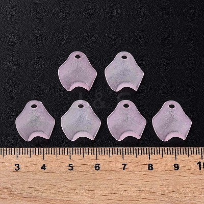 Transparent Acrylic Beads MACR-S373-106-D05-1