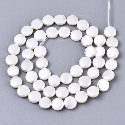 Natural Freshwater Shell Beads Strands SHEL-N026-50A-01-1