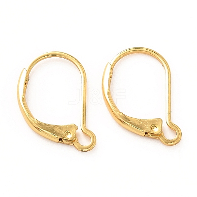 Brass Leverback Earring Findings LS-X-KK-F828-03G-1