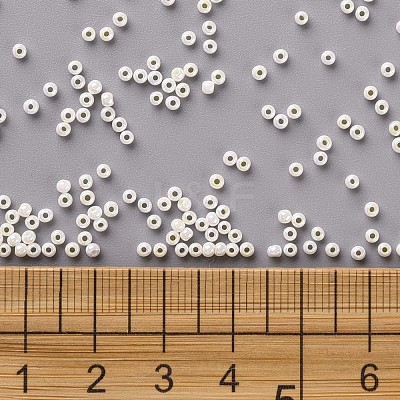 11/0 FGB Grade A Round Glass Seed Beads SEED-N001-B-0482-1